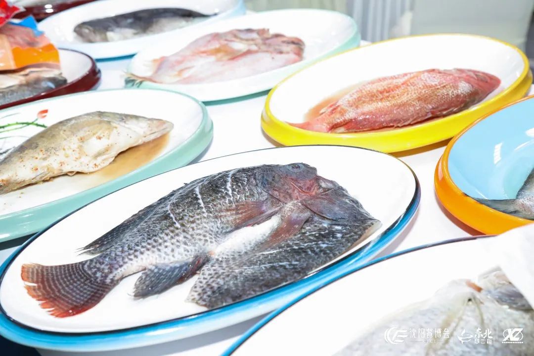 The white paper "China's Offshore Fisheries Development" was released. The market for prepared seafood products has great potential. Come to Northeast China to make money! (Figure 3)